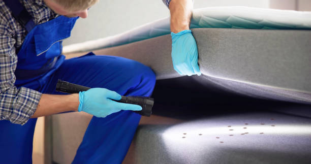 Best Best Pest Control Companies  in Dexter, MO